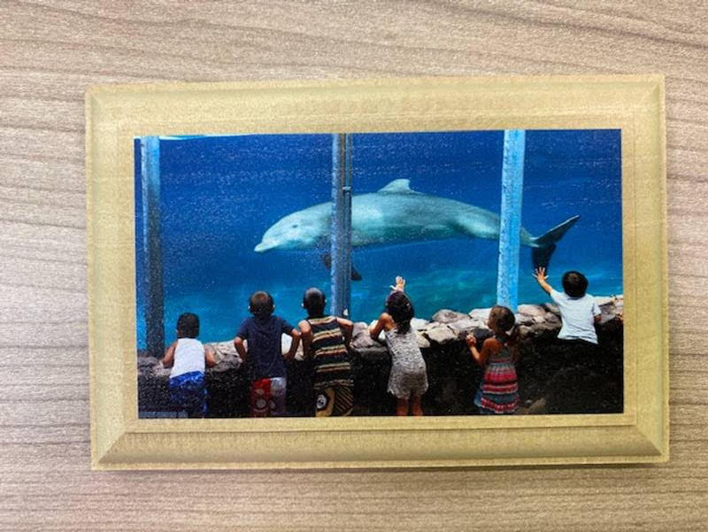 メイン画像:木部印刷